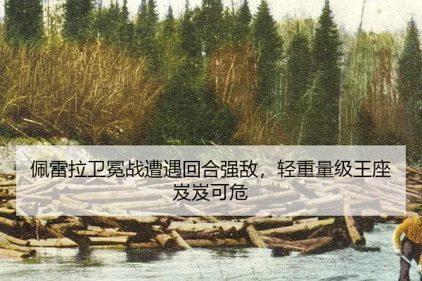 pei-lei-la-wei-mian-zhan-zao-yu-hui-he-qiang-di-qing-zhong-liang-ji-wang-zuo-ji-ji-ke-wei-3-307.jpg